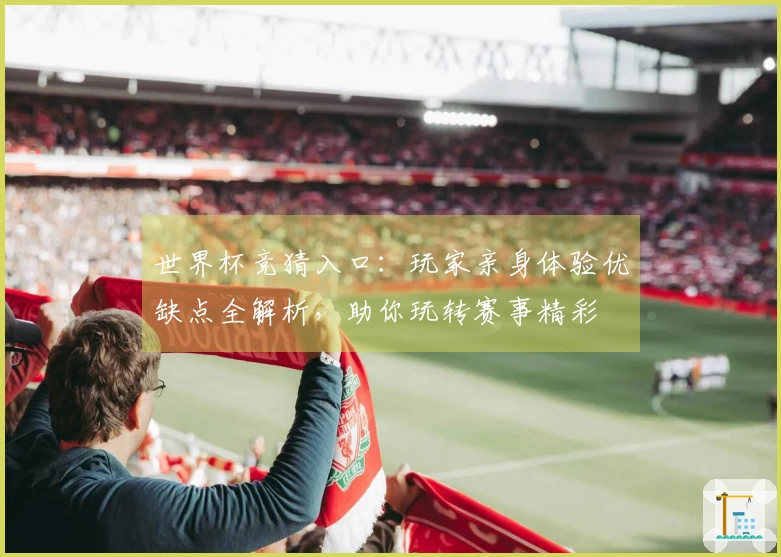 世界杯竞猜入口：玩家亲身体验优缺点全解析，助你玩转赛事精彩