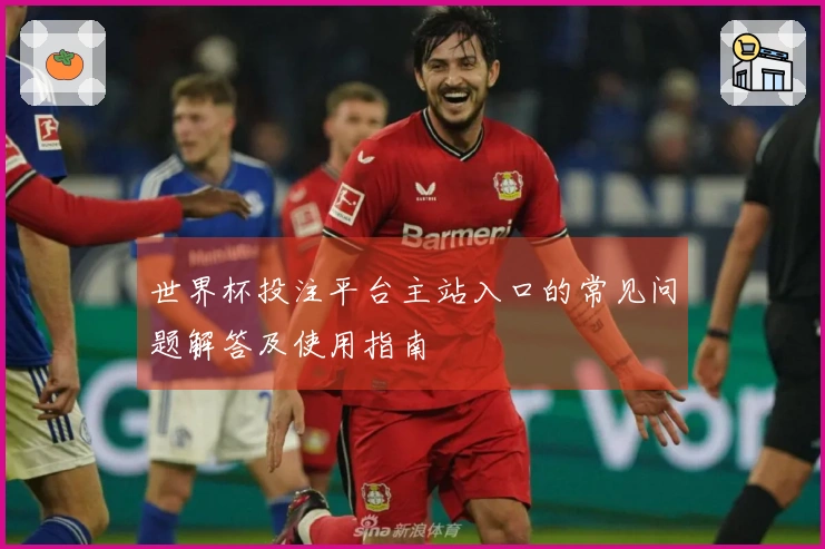 世界杯投注平台主站入口的常见问题解答及使用指南