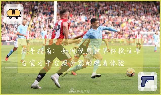 新手指南：如何使用世界杯投注平台官方平台提升您的观看体验