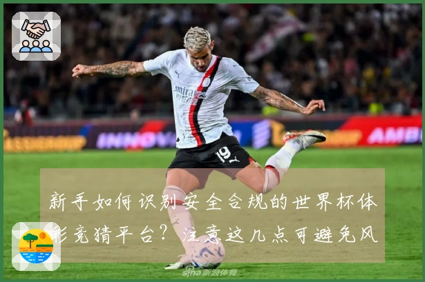 新手如何识别安全合规的世界杯体彩竞猜平台？注意这几点可避免风险