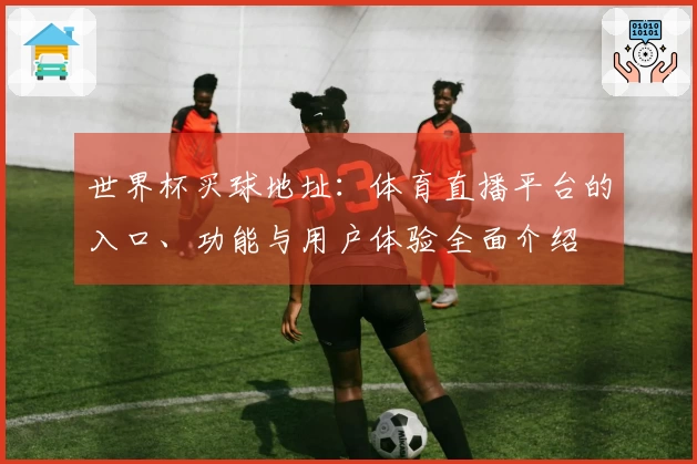 世界杯买球地址：体育直播平台的入口、功能与用户体验全面介绍