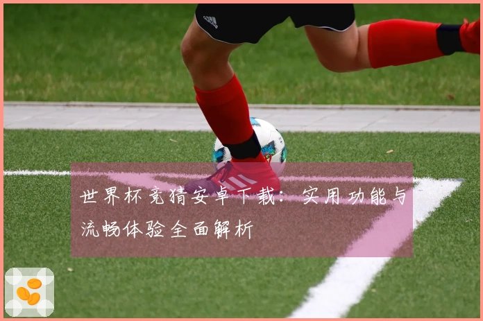 世界杯竞猜安卓下载：实用功能与流畅体验全面解析