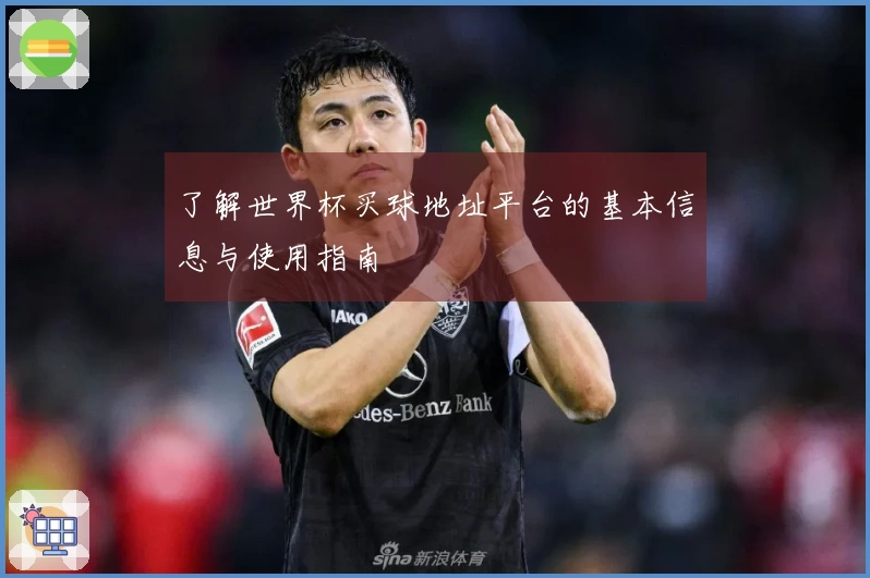 了解世界杯买球地址平台的基本信息与使用指南
