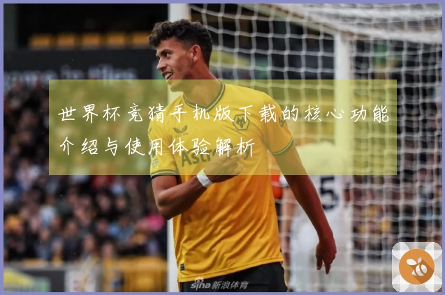 世界杯竞猜手机版下载的核心功能介绍与使用体验解析