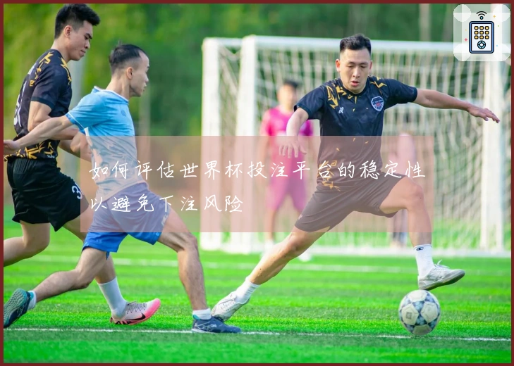 如何评估世界杯投注平台的稳定性以避免下注风险