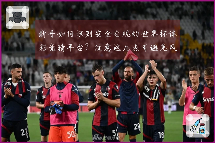 新手如何识别安全合规的世界杯体彩竞猜平台？注意这几点可避免风险