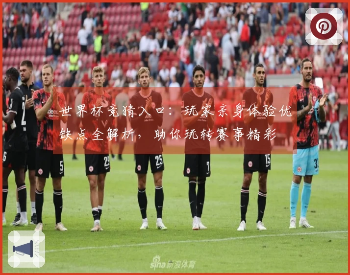 世界杯竞猜入口:玩家亲身体验优缺点全解析,助你玩转赛事精彩