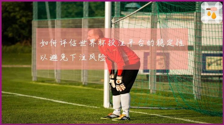 如何评估世界杯投注平台的稳定性以避免下注风险