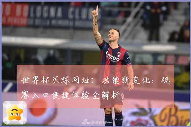 世界杯买球网址：功能新变化，观赛入口便捷体验全解析