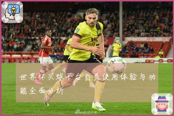 世界杯买球平台首页使用体验与功能全面分析