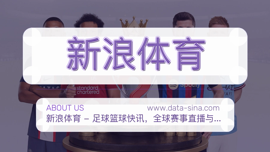 关于 新浪体育